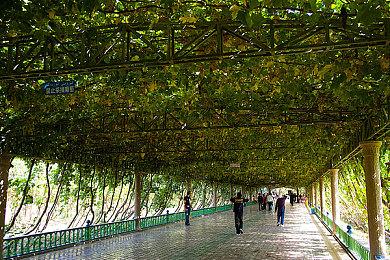 GOG喜加一：经典科幻冒险《放逐1.1》免费领取